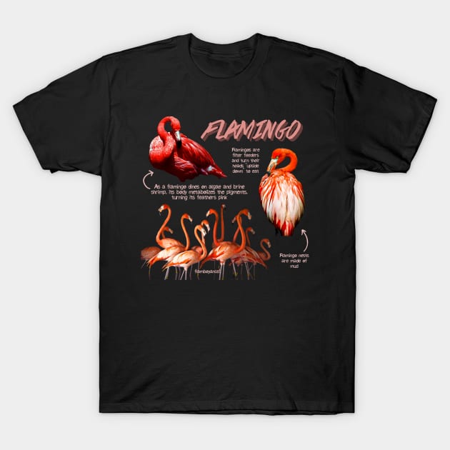 Flamingo Fun Facts T-Shirt by Animal Facts and Trivias